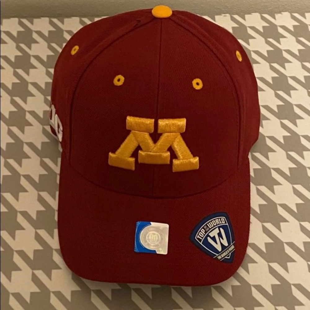 Brand new Minnesota Golden Gophers hat